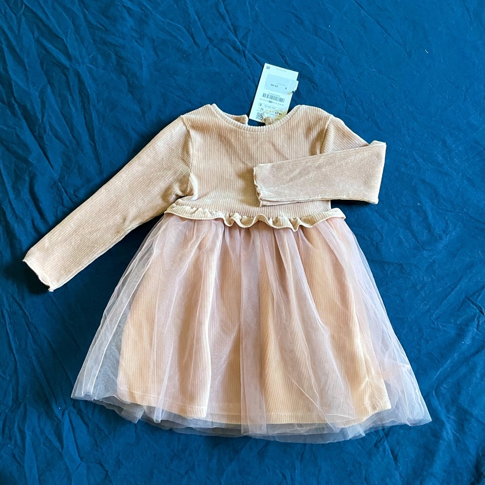NWT Zara Dress